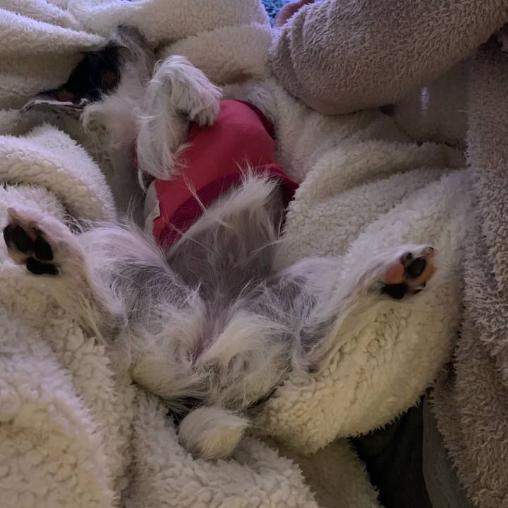 744efe89 0e45 4b17 a177 9dad88b23d7a 1574820614658