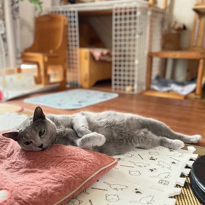 744f0c5c e253 4c51 bc5e e8d3517a43e2 1724499504836