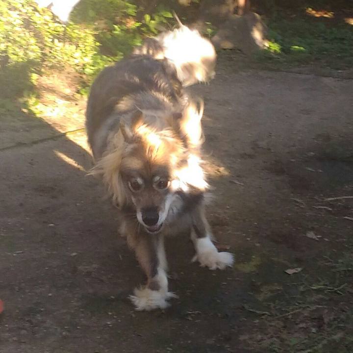 744f1261 62fa 473c 8380 82a53c82fdb3 1528886120659