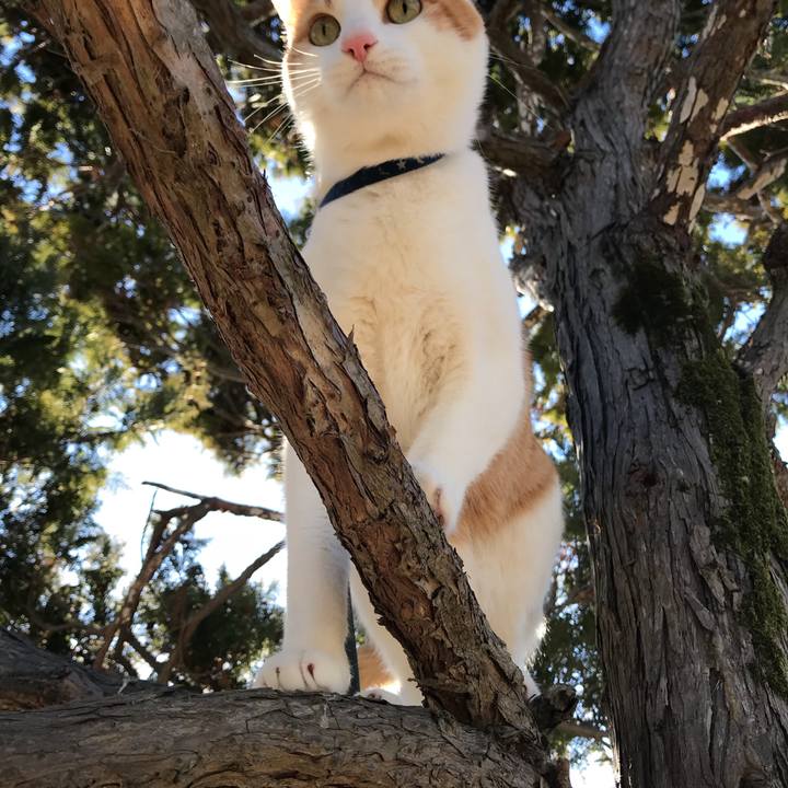 744f8330 3b2a 43d0 81e0 2105505c8793 1515736330637