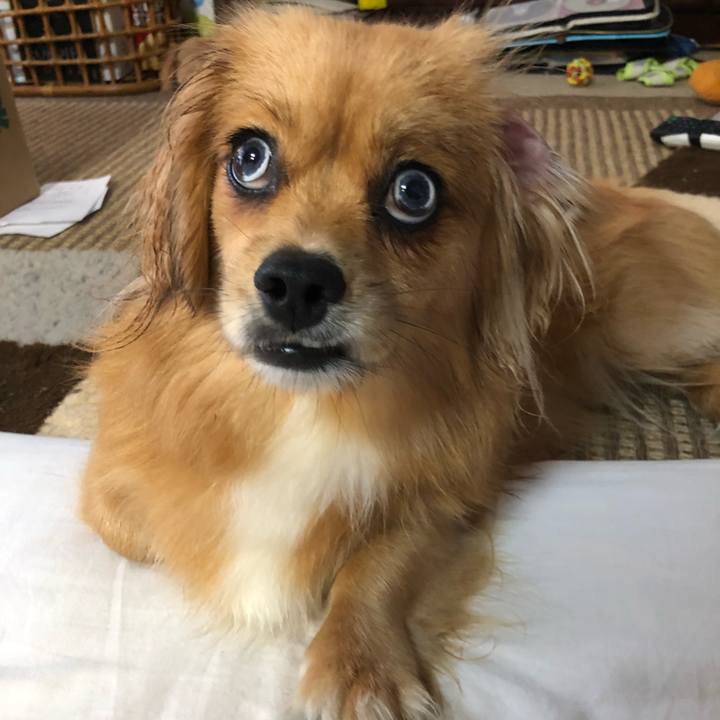 744fbe8b f5da 4928 9758 b9936d57d88b 1530652116195