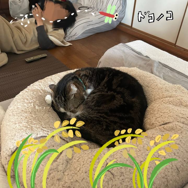 744fcb60 2905 4ba6 b868 bf045a04300a 1761346464097