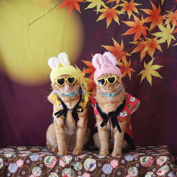 744fd339 8d76 4d7c ad79 59bb7b4c65ce 1759028706897