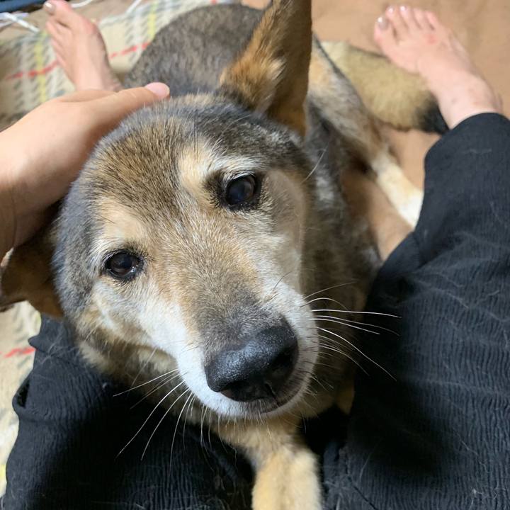 744fd597 77ad 455d 94f7 2bf79dc874e1 1563282896156