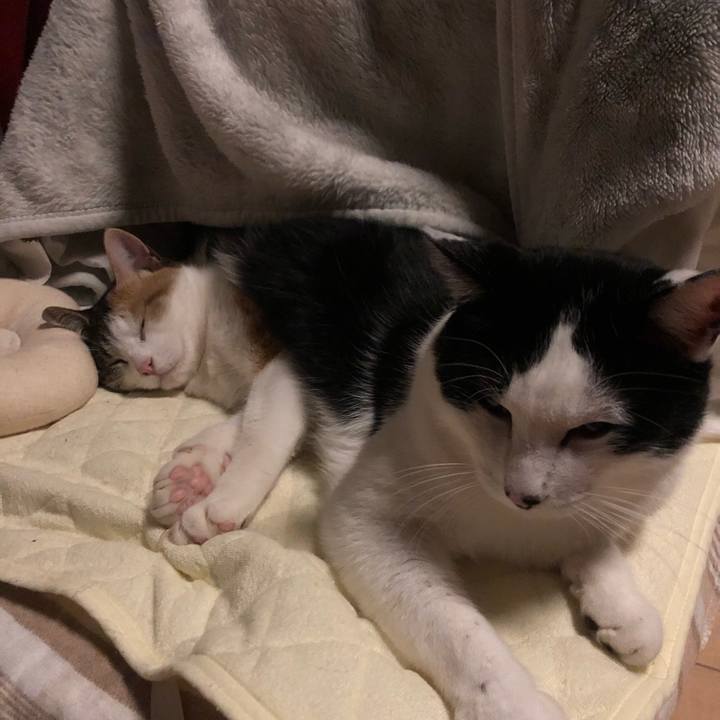 744fe7f6 3d20 4453 a537 84d85b10b9e3 1582657664401