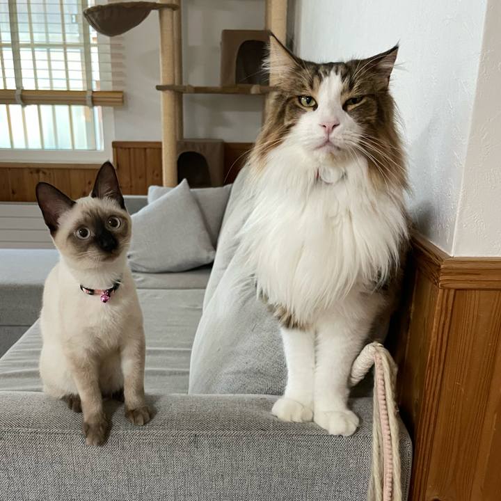 74501c92 e7f1 4f14 a67d c7f45a140953 1694987693728