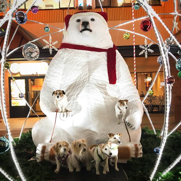 74504c55 83d9 419b ab90 590d9dff9cb4 1510658765411