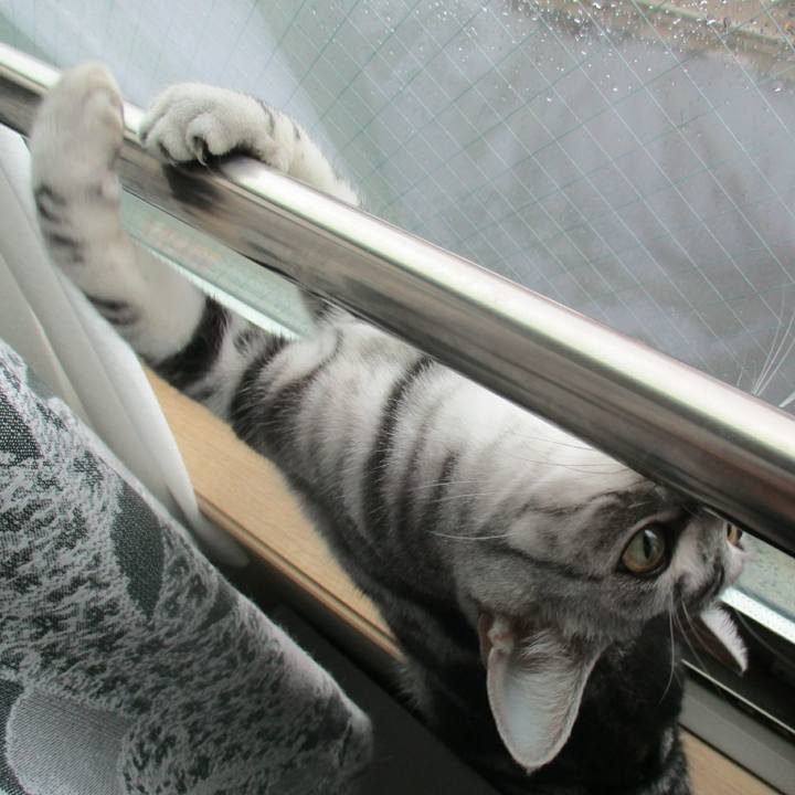 7450a8a3 a382 417d a331 7c2e51bf55e3 1562495656473