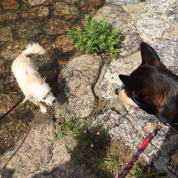 7450d8f3 9b88 406d b662 ea2cc0b4ad47 1528345288406