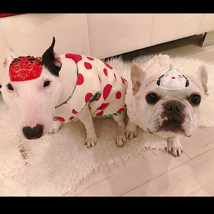 7450e85e 8b7f 4156 86db ad7d38f302ea 1517658373306