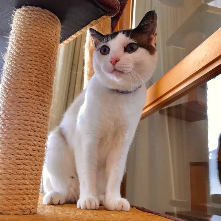 7450f0b2 5a60 44e6 b6ad 873275ba080c 1555900004426