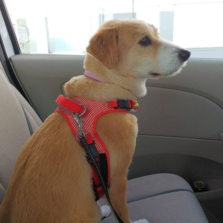 745101b5 dfd3 41db b270 daf10180ae72 1520728224016