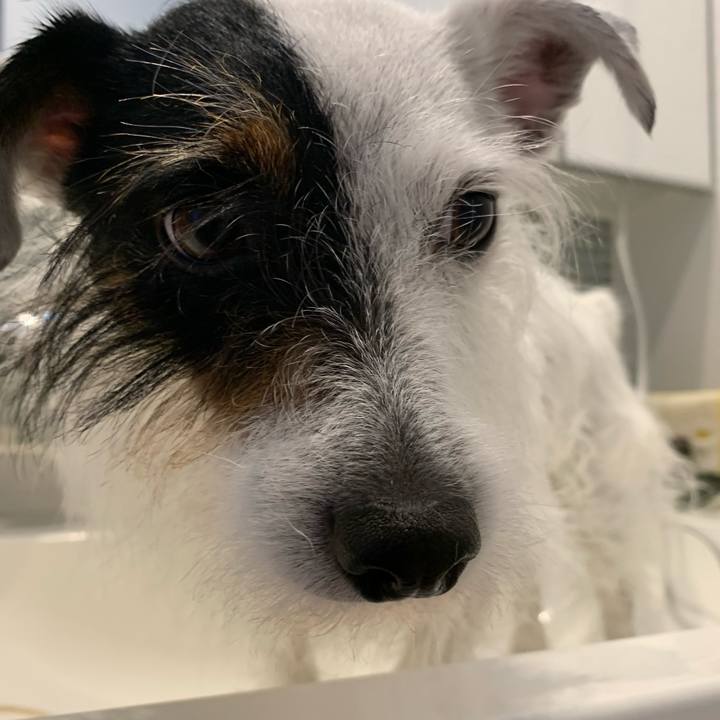 74510bd8 9902 4f10 a53f 054551c376c2 1588641128592