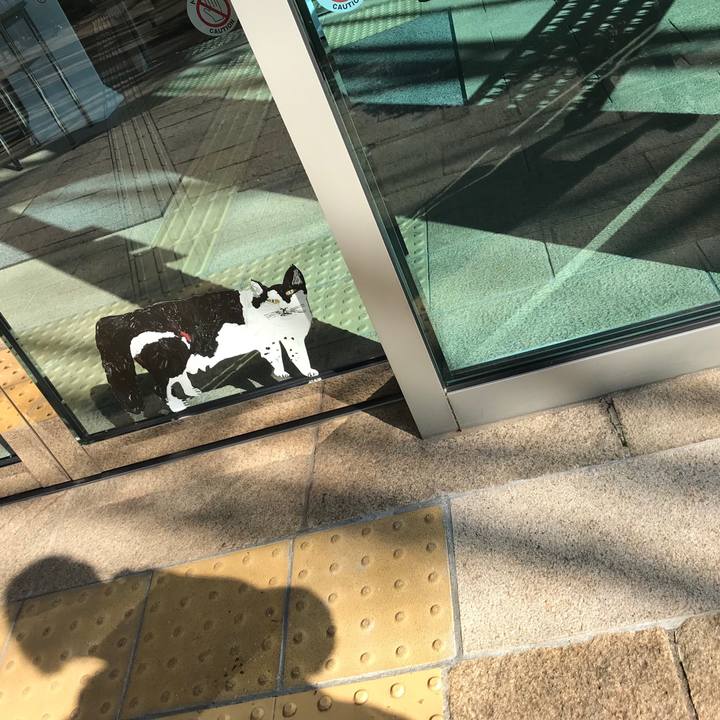 745127ed 4a65 410c a30e 54a69b5dfd91 1520661222087