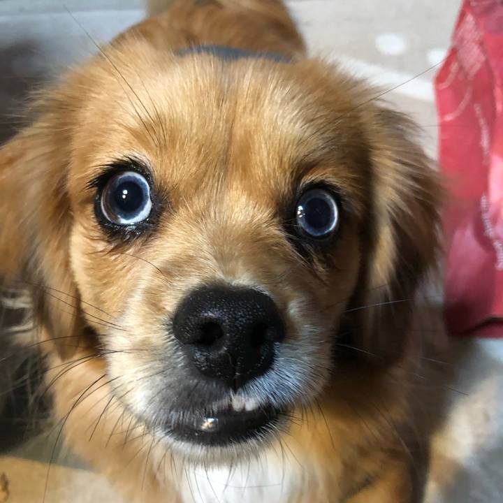 74512af1 06ea 42be 9c8e b3492e74789a 1512791132932