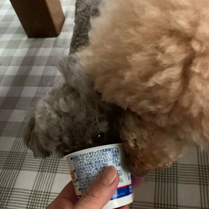 74516460 5384 4a77 ae49 c55617c29b71 1598910683134