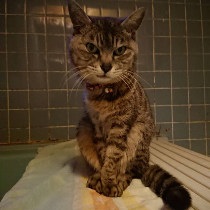 745166fa 1643 42ae 88bc 8e698fd0d713 1592994397557