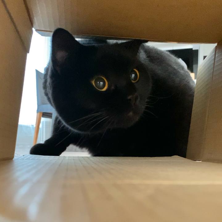 74516ca3 7cd5 4c4c b714 4b11c57e3a41 1735802442476