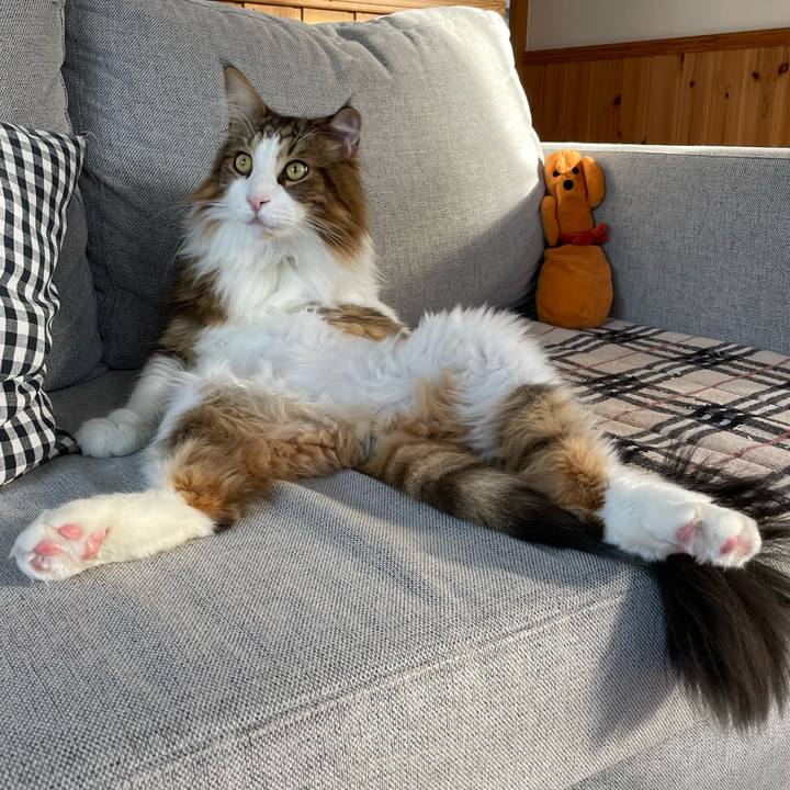 74518a45 0754 4929 b731 c2b1bc69628f 1665181487658