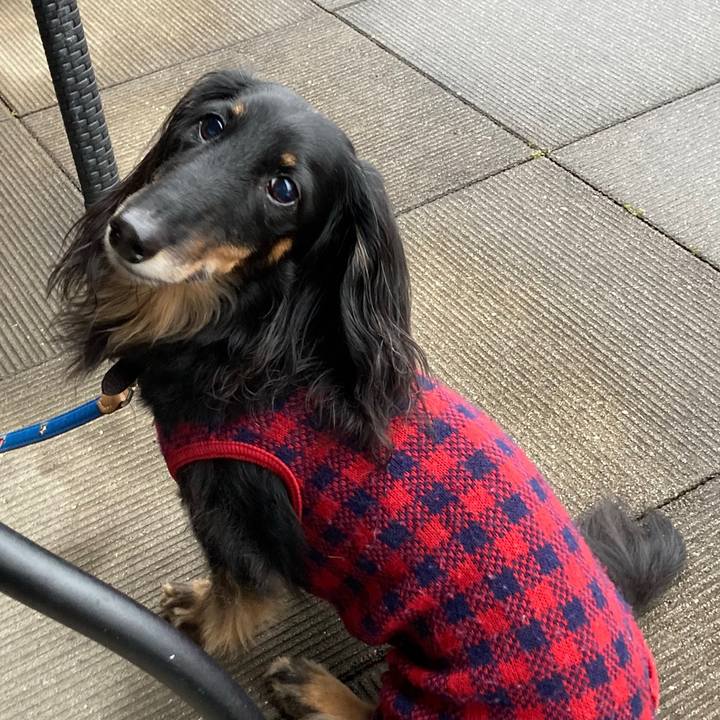 7451aa8a 422c 4d14 9a51 46f90ffc660c 1766216814628