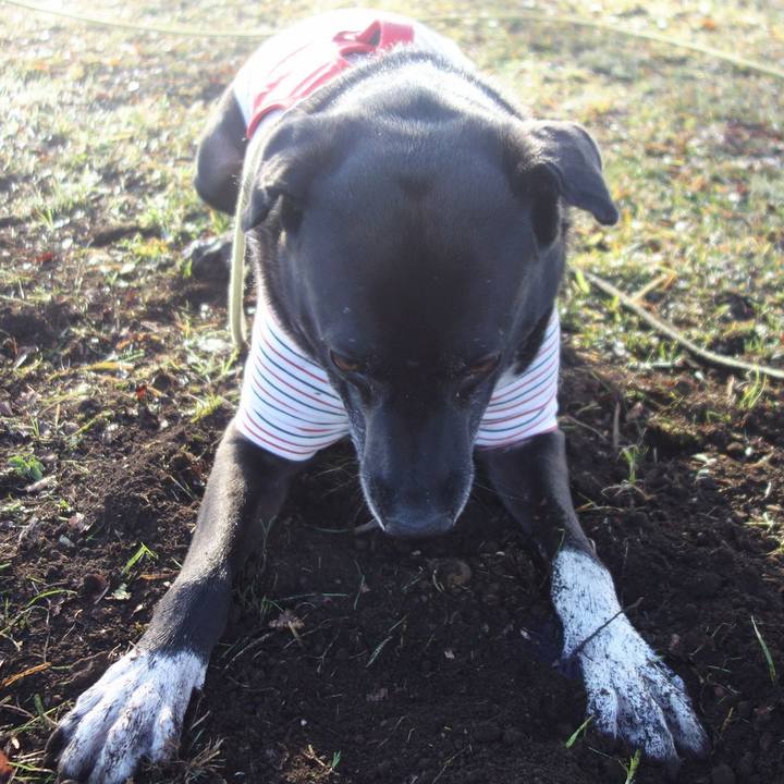 7451af13 abaf 43ff 8a27 48c5dad15711 1670120082917