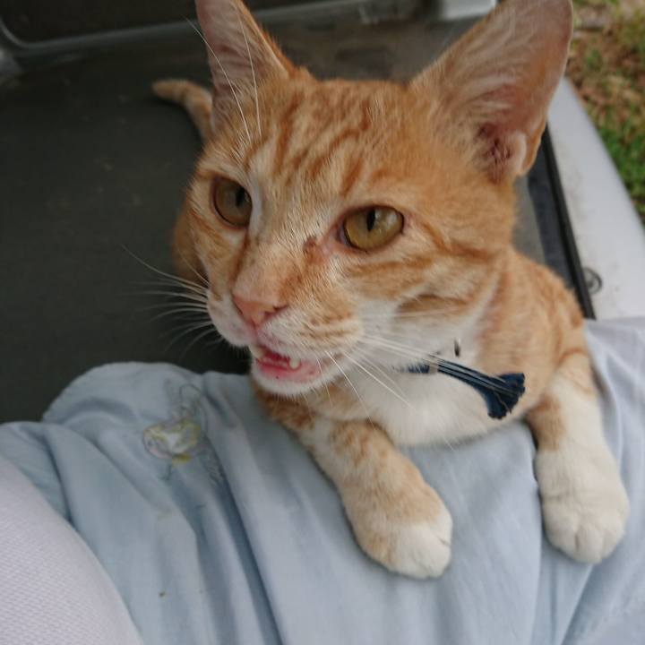 7451d6a8 a740 41ed 80b8 0845017594b1 1562359979898