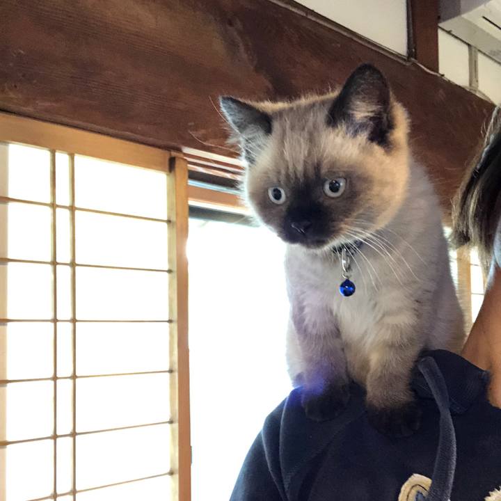 74520e55 cf27 4229 973c f7209babec3e 1587774065311