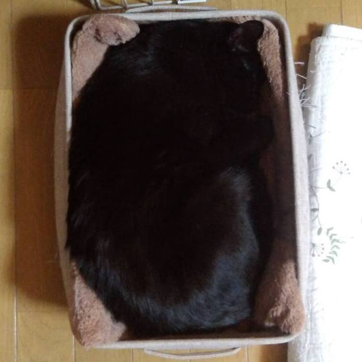 74523d43 29ab 4822 b942 d3798c713436 1679219537839