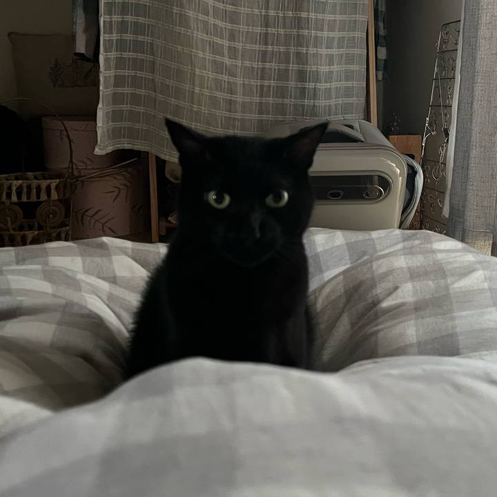 74526276 9eb6 451c 82ab b41898b88cd7 1731370365001