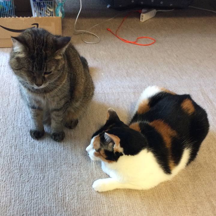 74526597 ef01 43f8 a6e4 6b5b78395371 1590054497016