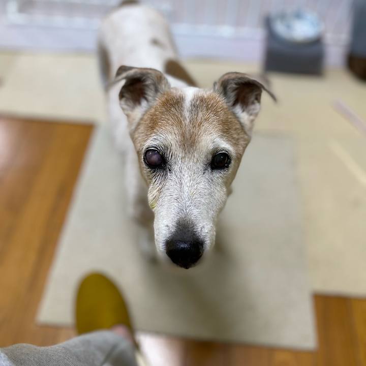 745280f4 1fec 4edb 8b72 50271ae7475e 1669329608470