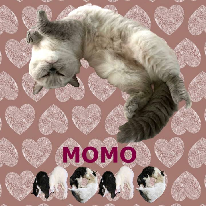 7452a0d2 2943 49f5 824e fe14dea82153 1667784613259