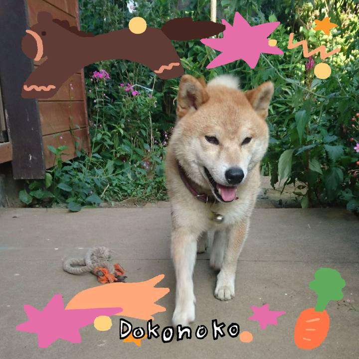 7452f9c9 dfa5 4e54 80b2 85907360cf94 1772457844940