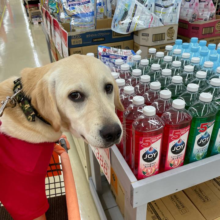 74530508 059f 4ec1 bf55 e3071331a2c4 1620955780630