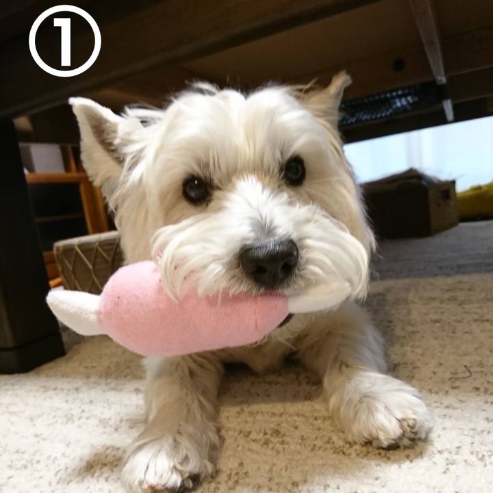 74531ff2 3dbf 493a afc8 1f7803c0918c 1554033989185