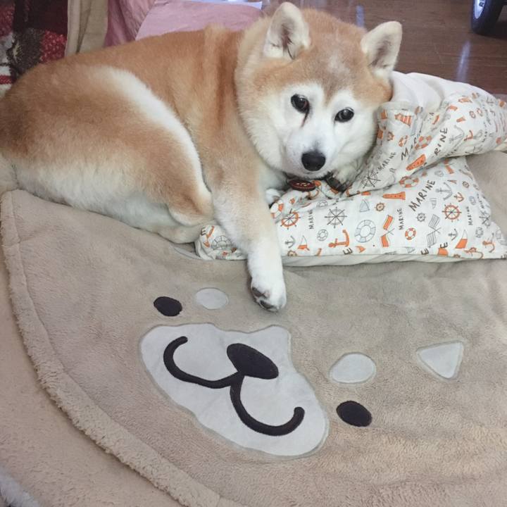 74532323 91d6 4ba1 b45e 130179d8d24a 1620268242545