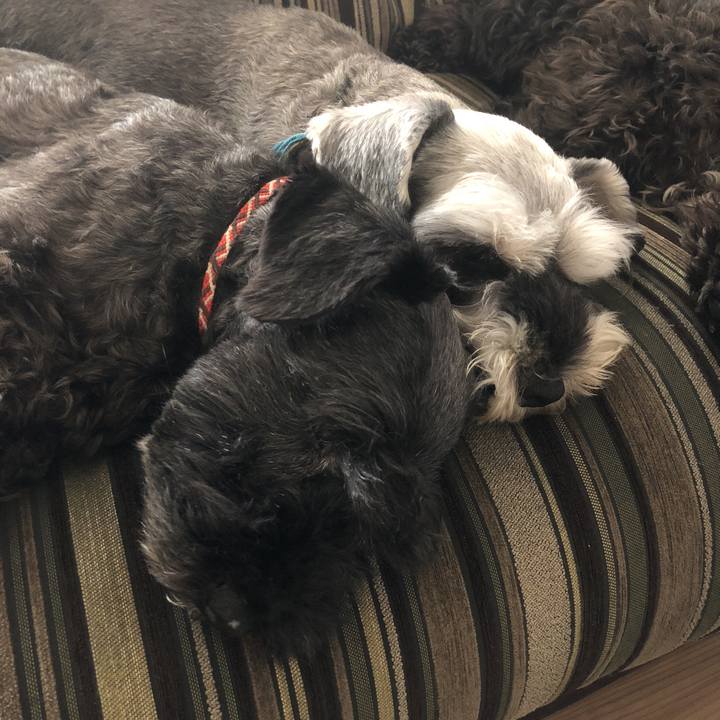 74532601 2b2c 4a6b 8e94 a16df80c43d3 1531702446117