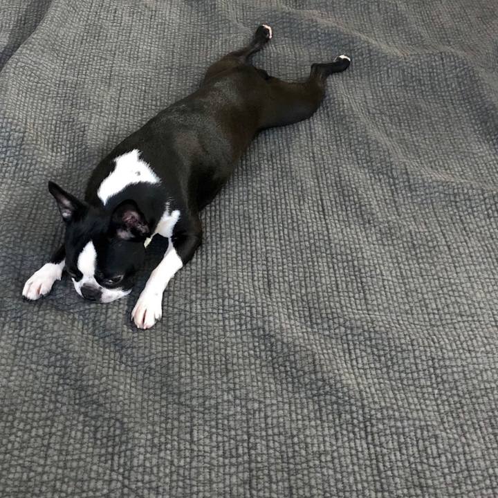 745329b8 2d6d 4381 ba7c 1f5bccb7583b 1550721831103