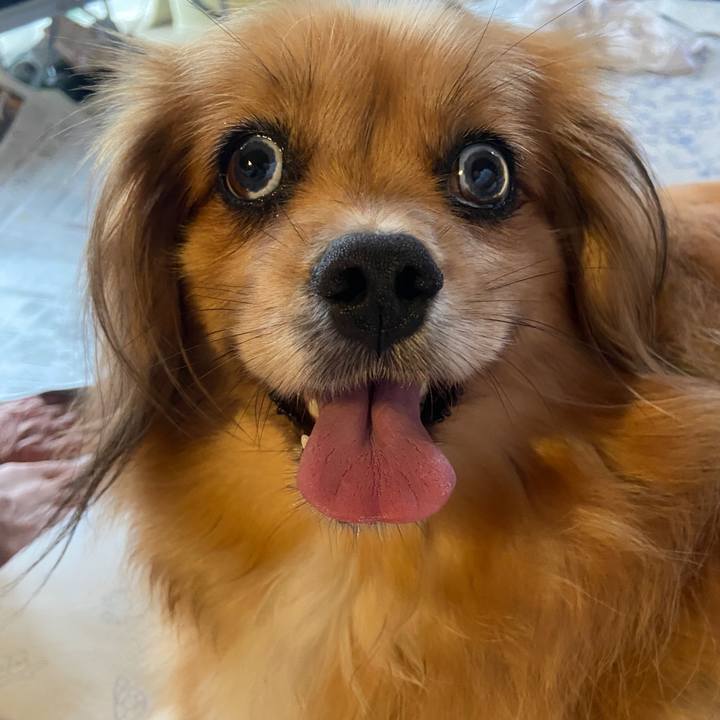 74537fdb 2063 4cb4 8498 a7350f5760ee 1627594628156