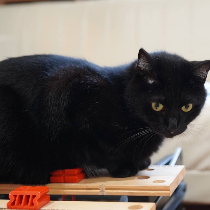 74539027 b9bf 450c 9b98 48e372ef2b1b 1628517173754