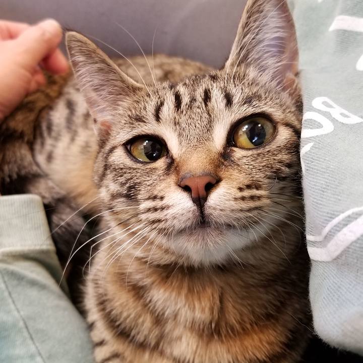 7453984a 715f 4086 8836 fe0c7c7fcf35 1550563311714