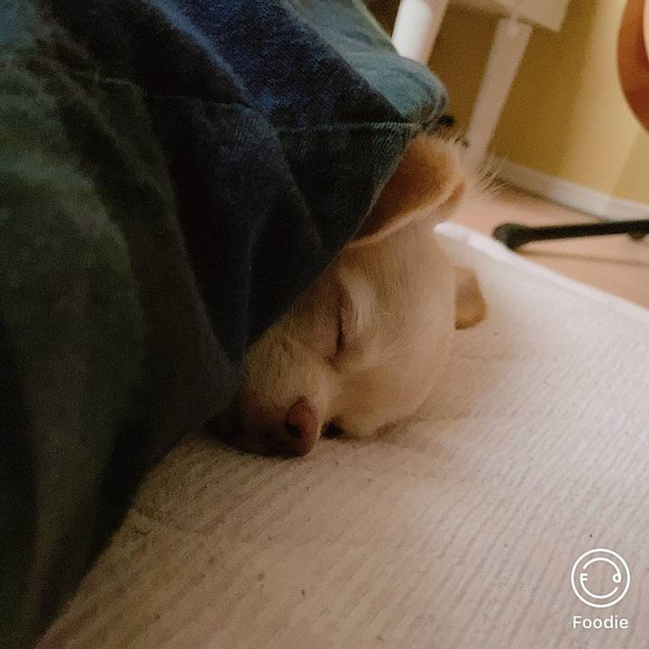 7453a328 4f83 4385 8eb9 d2bd9658f0eb 1602211454790