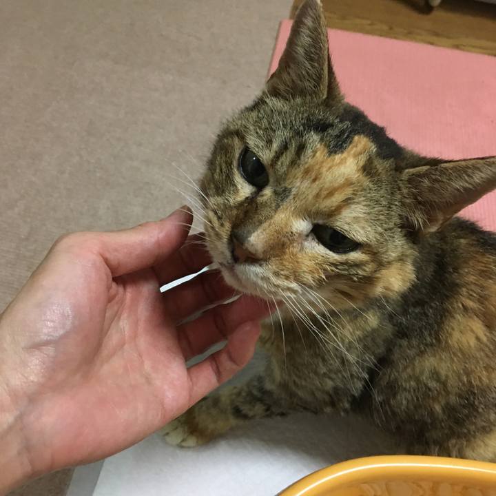 7453ab0e 96d1 4c24 a44f e8b0b93799f1 1578048471063