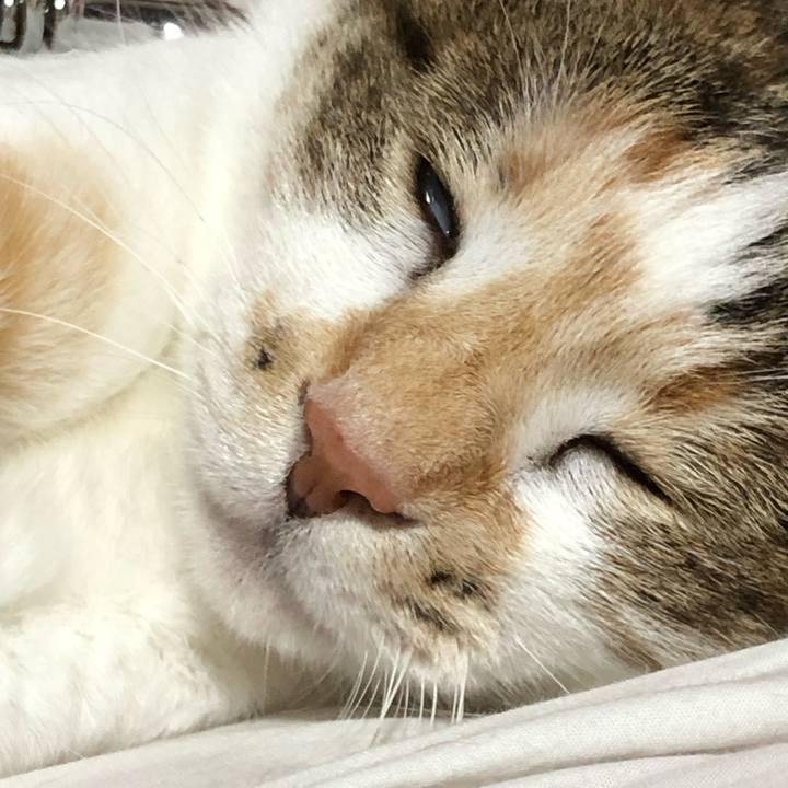 7453fc3b 812a 4e29 a299 90f6ce87f478 1561040374130