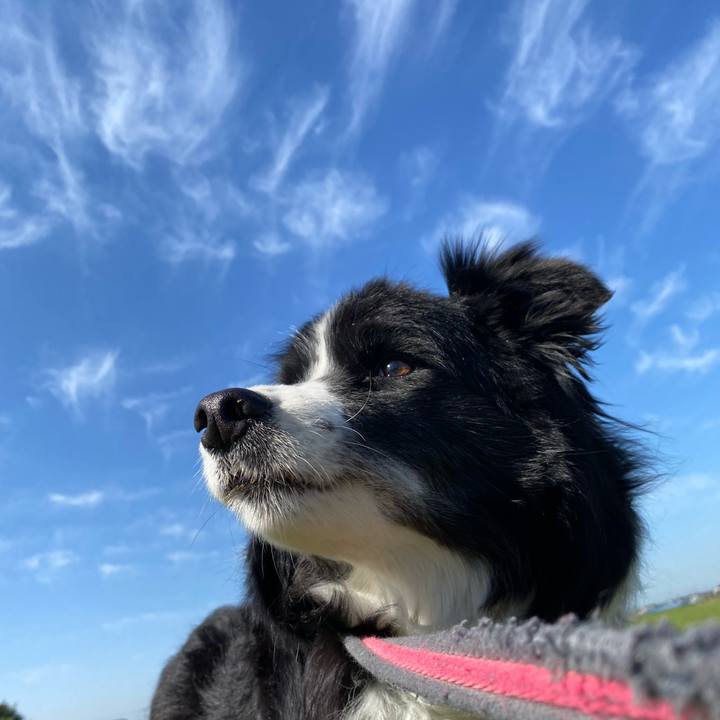 74541621 fe1d 449c 9988 d608720cccac 1681000472110