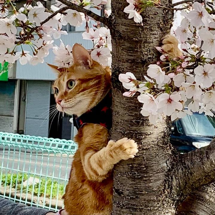 74541aeb a619 4046 a3e1 9439bb113d62 1616970109830