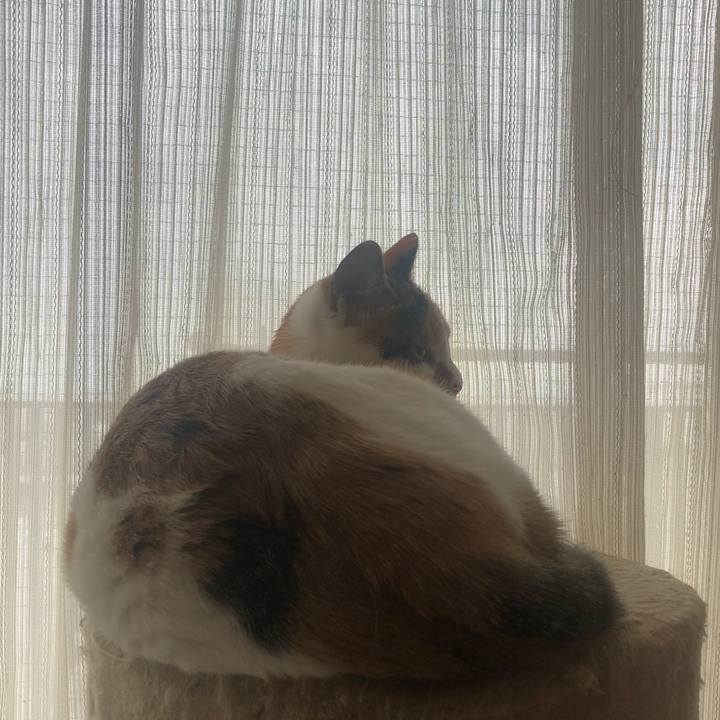 745424cb ccc4 44b7 8d58 8351de424a51 1604809014828