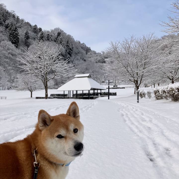 7454407f 989f 496b b455 0f9b130191a8 1767916735684