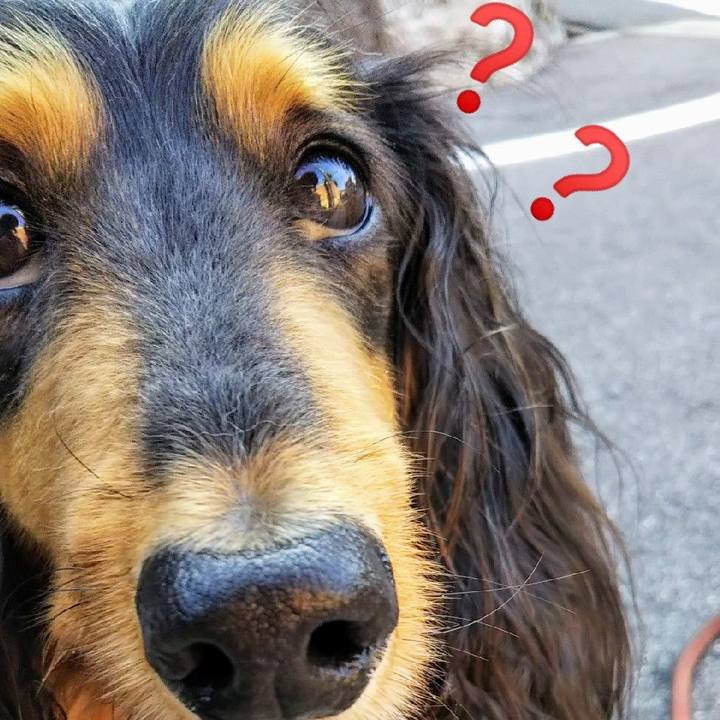 74544822 3c00 44a9 b78a 40d37f40b8e8 1610279943774