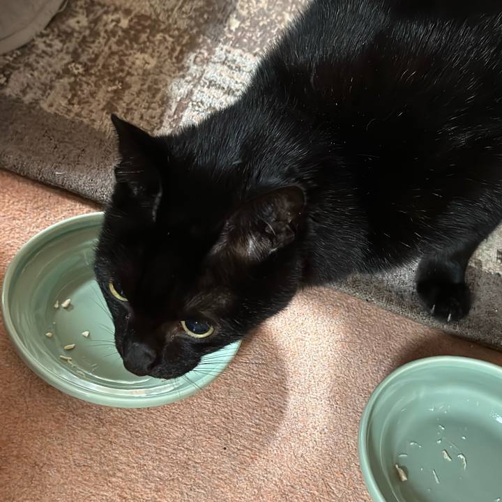 74546abb a43d 4f41 a72d ccfaffa6a0f1 1667098749801